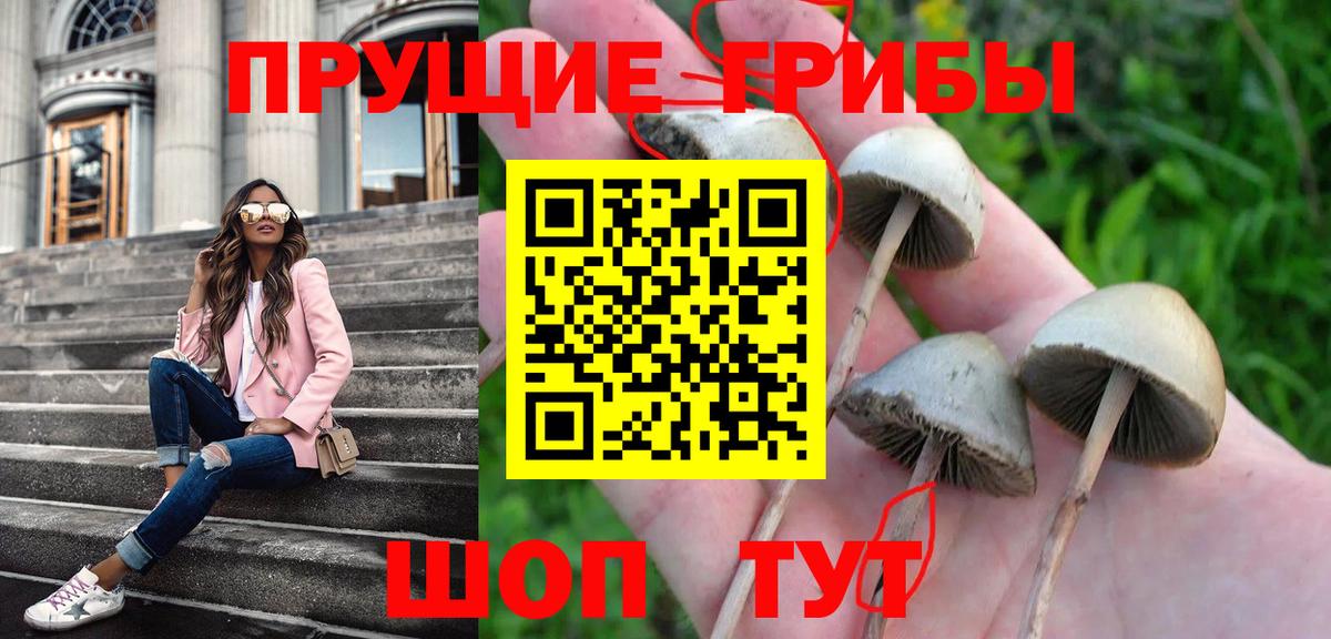 Псилоцибиновые грибы MAGIC MUSHROOMS Учалы